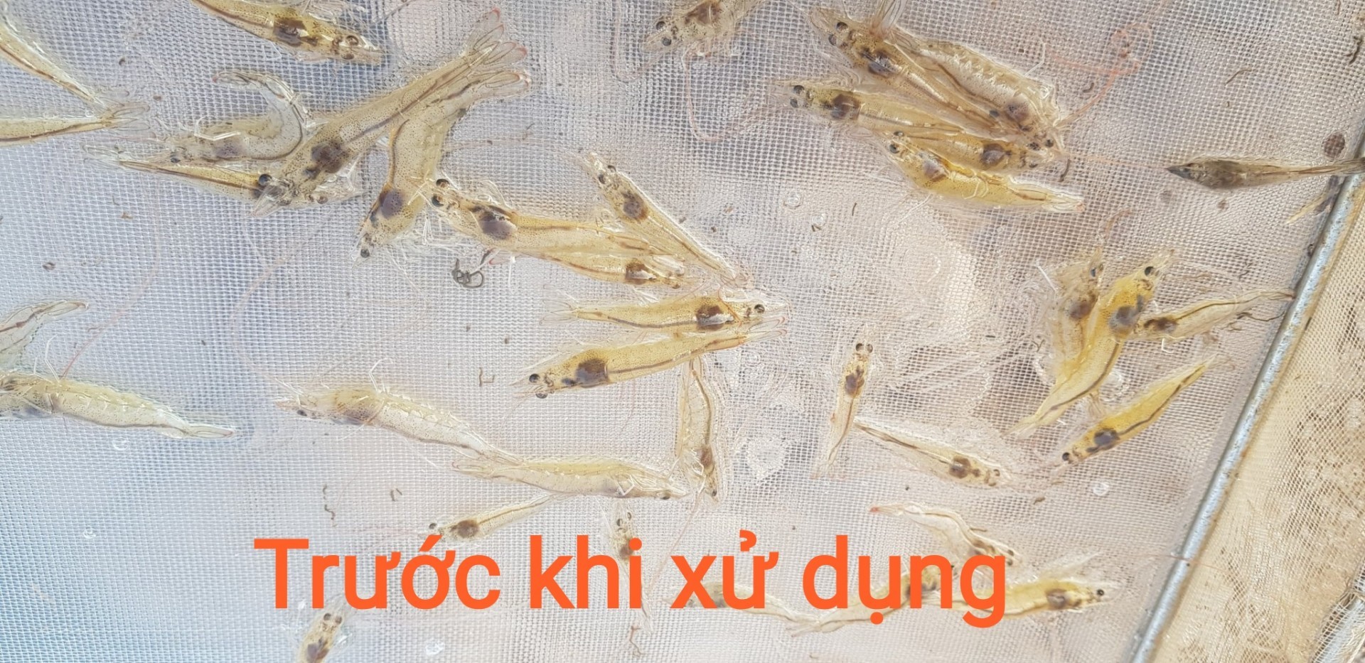 5e553308dc759.jpeg