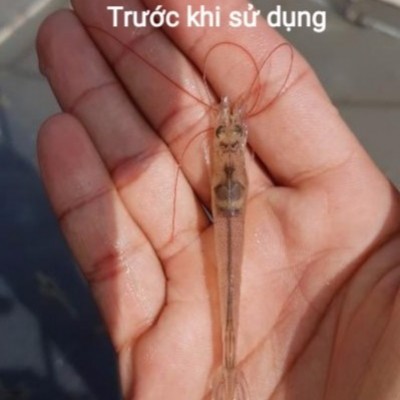 5e57d67d03dc8_400x400.jpeg