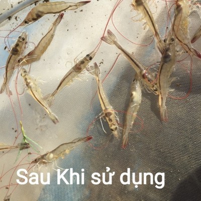 5e58da86d1992_400x400.jpeg