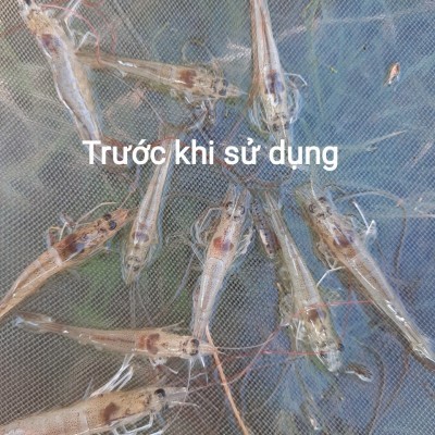 5e58da8a3e361_400x400.jpeg