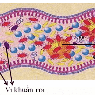 606c794b66098_400x400.png