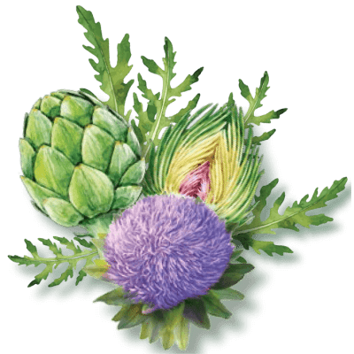 606d8afde757d_400x400.png